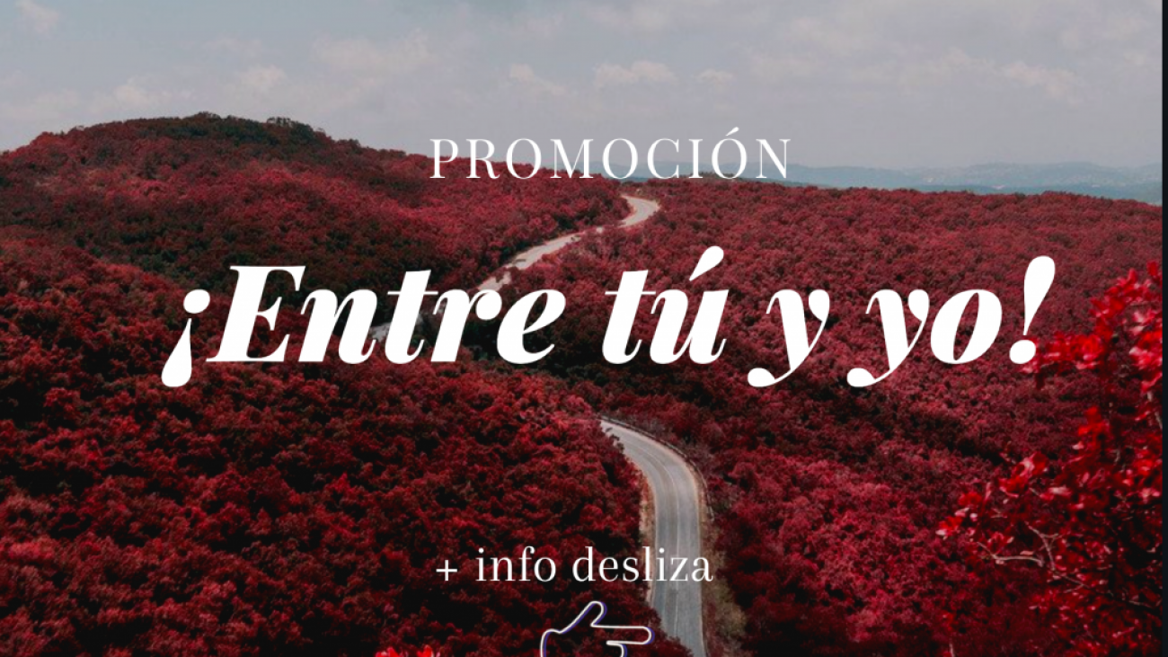 Captura-de-pantalla-2021-02-04-a-las-19.31.19-1024x1002